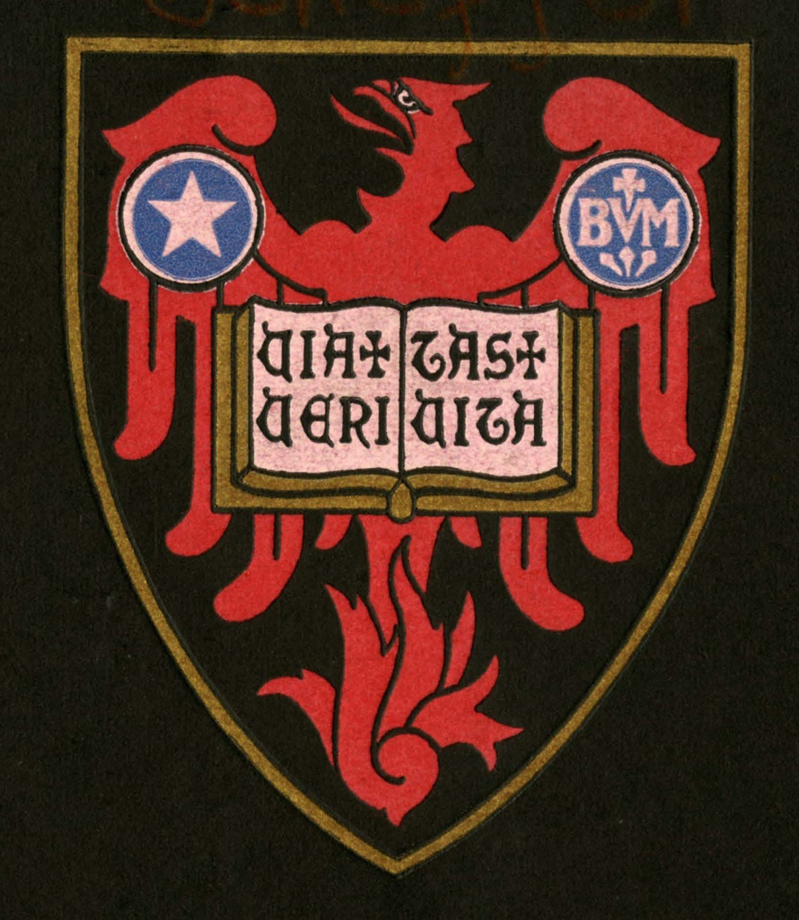 Nearly Years of Mundelein College Women and Leadership Archives