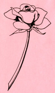 Rose outline on pink paper. 
