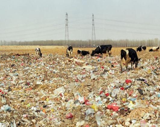 Environmental Film Series:  Beijing Besieged by Waste