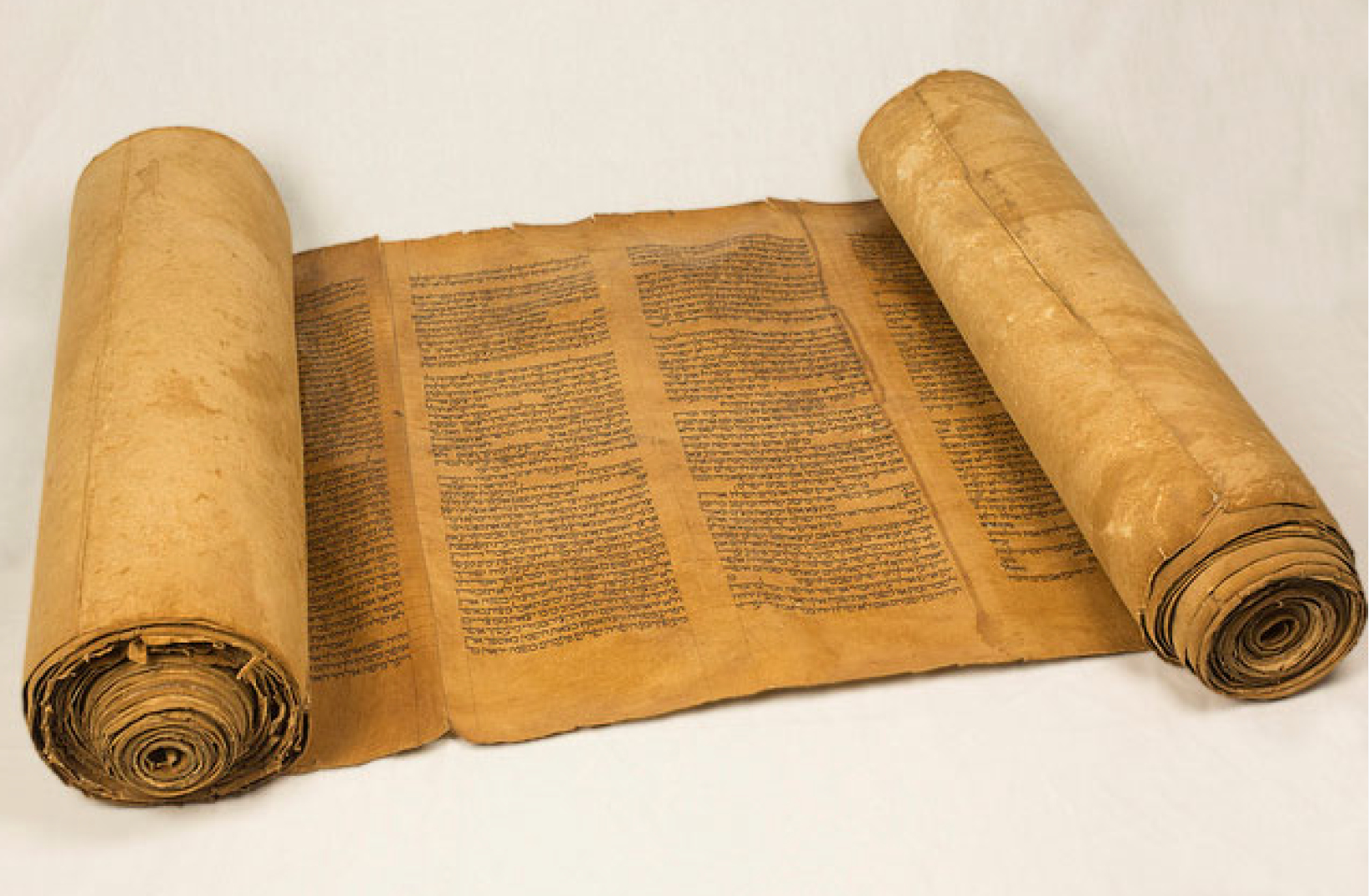Sacred Texts: Torah & Illuminated Bible: Nov 14