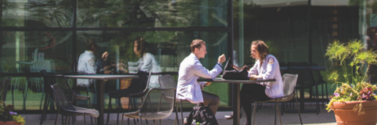 LUC_University Libraries Impact Report 2024-2025 cover (1)