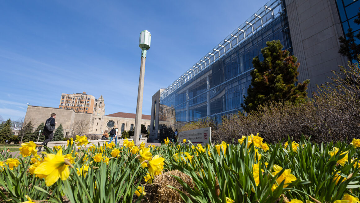 Cudahy Library and Information Commons buildings