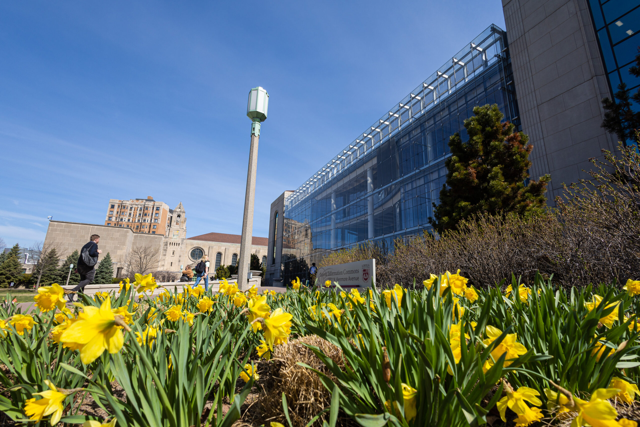 Cudahy Library and Information Commons buildings